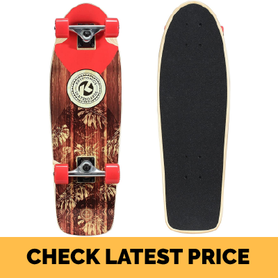 10 Best Cruiser Skateboard Reviews And Buying Guide