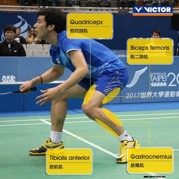 Badminton Fitness – Strength In Badminton