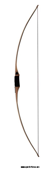 The Top 4 Types Of Bows