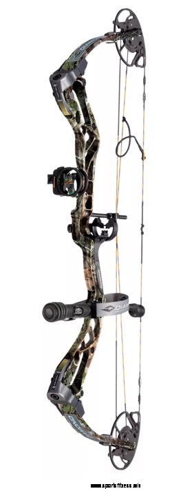 The Top 4 Types Of Bows