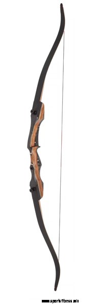 The Top 4 Types Of Bows