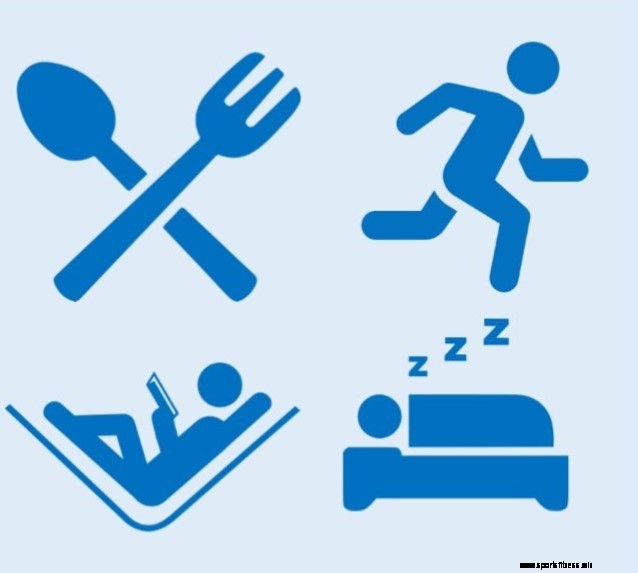 Weight Training for Swimmers: An Introduction