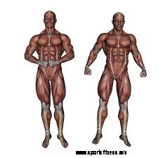 Cross-Training for Swimmers