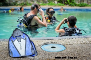 Are Bargain Dive Courses Really a Bargain?