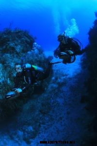 Diver Propulsion Vehicle Training