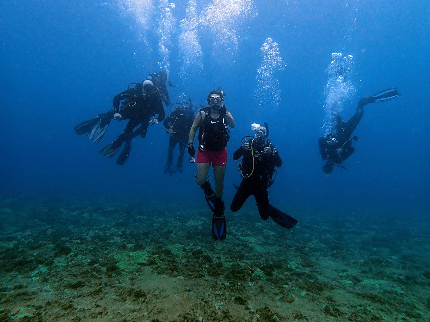 Diving Marines in Hawaii