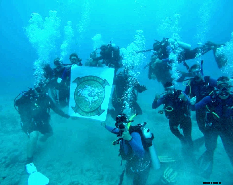 Diving Marines in Hawaii