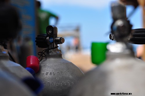 You Dive – What Now?