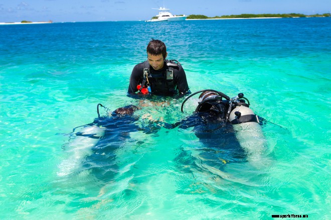 What is Proper Training?