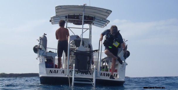 Open Water | Padi Certification