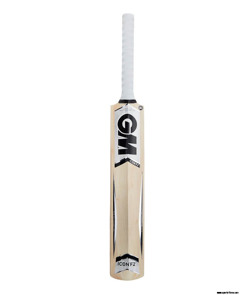10 Best Cricket Bats That You Need To Check Out