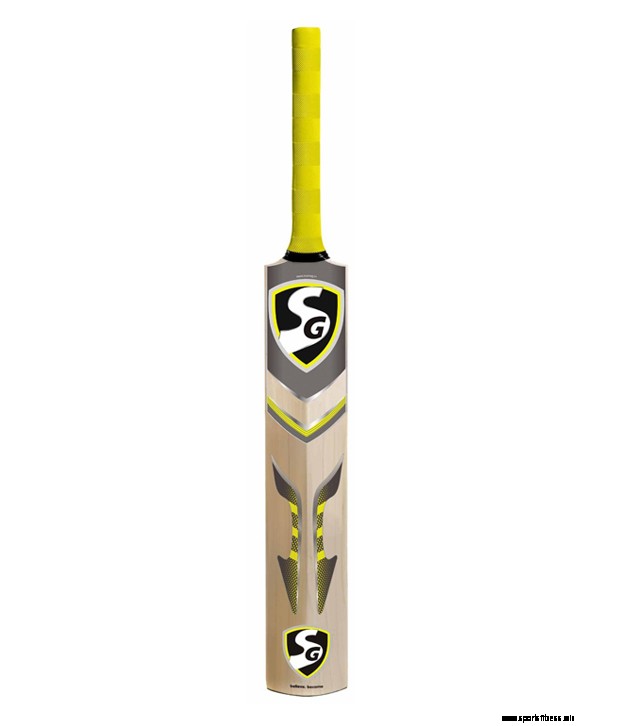 10 Best Cricket Bats That You Need To Check Out