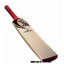 10 Best Cricket Bats That You Need To Check Out