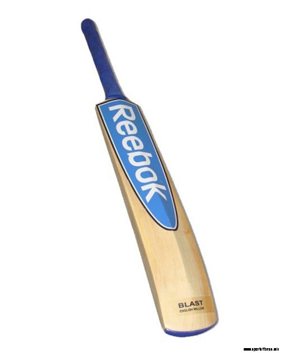 10 Best Cricket Bats That You Need To Check Out