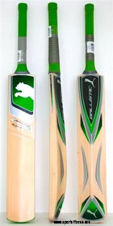 10 Best Cricket Bats That You Need To Check Out