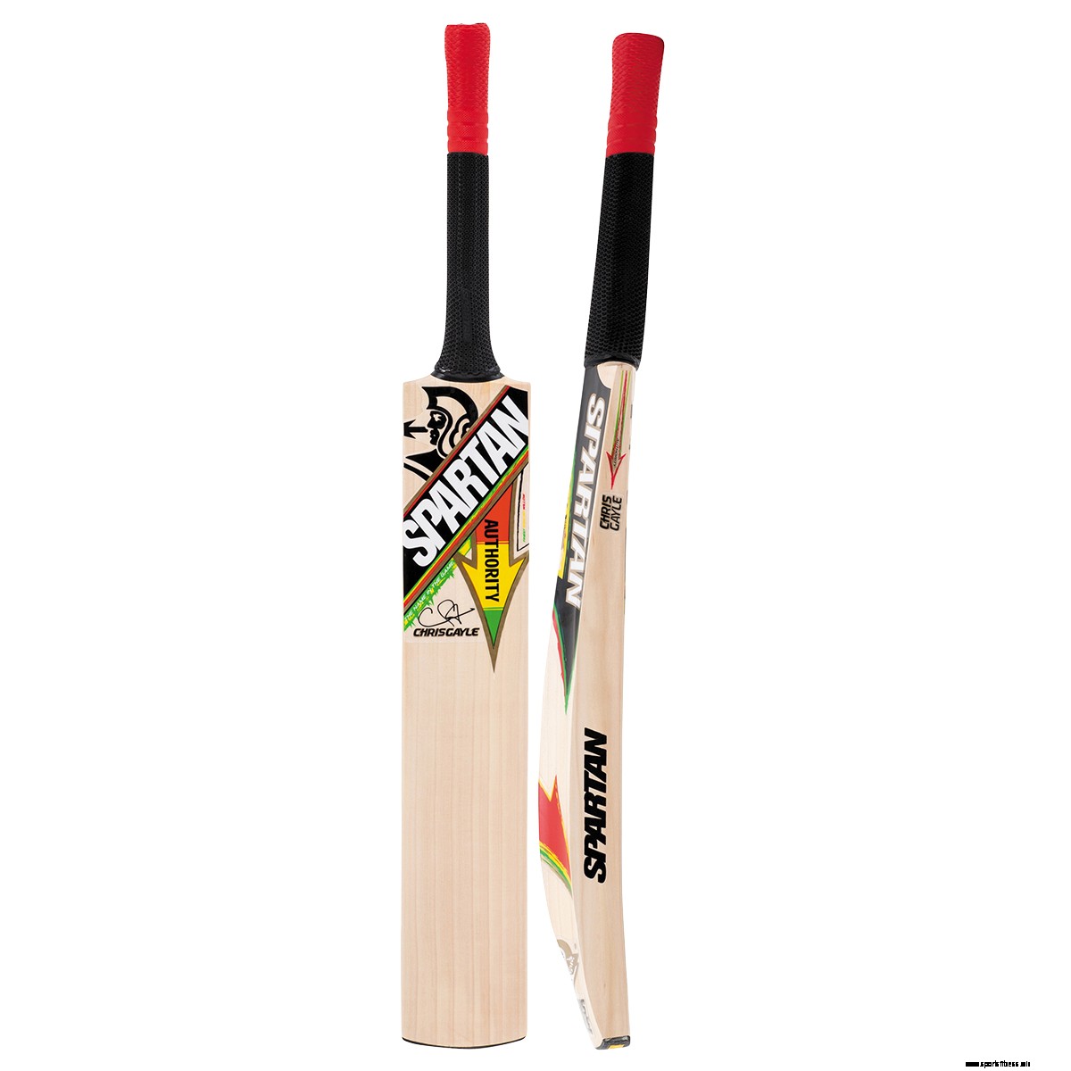 10 Best Cricket Bats That You Need To Check Out