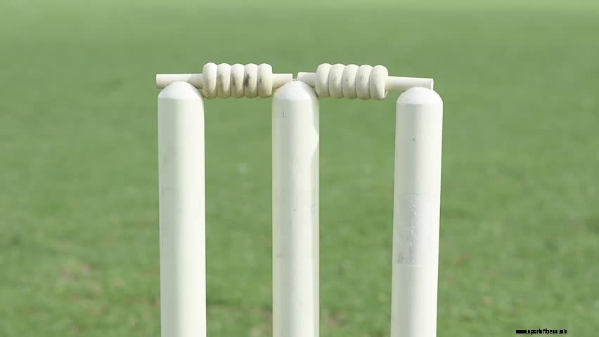 10 Must-Own Cricket Gears If You Play The Sport Regularly