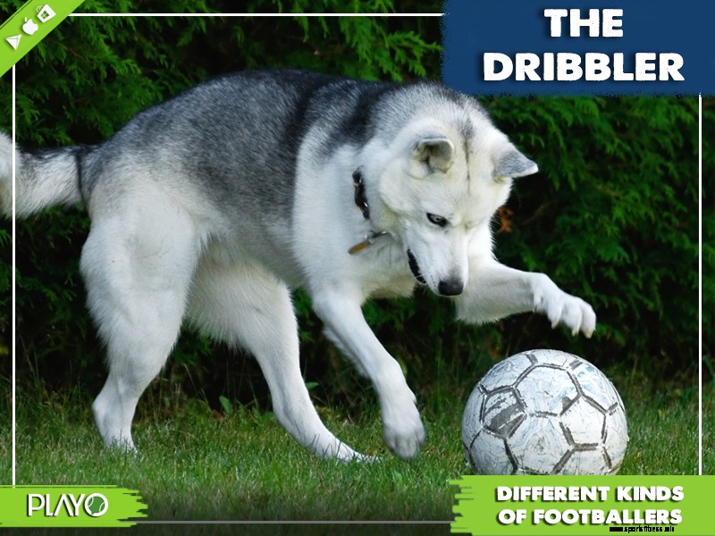 16 funny types of footballers- which one are you? | Playo