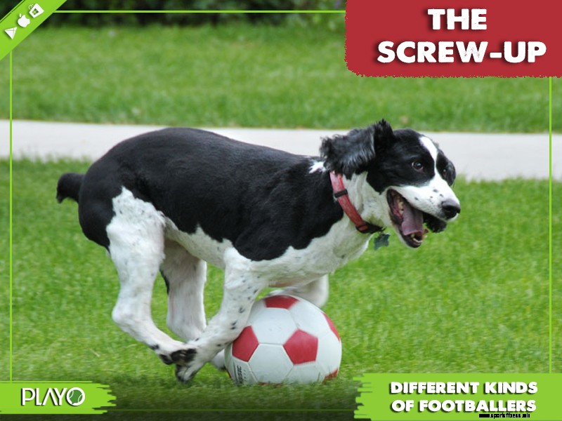 16 funny types of footballers- which one are you? | Playo