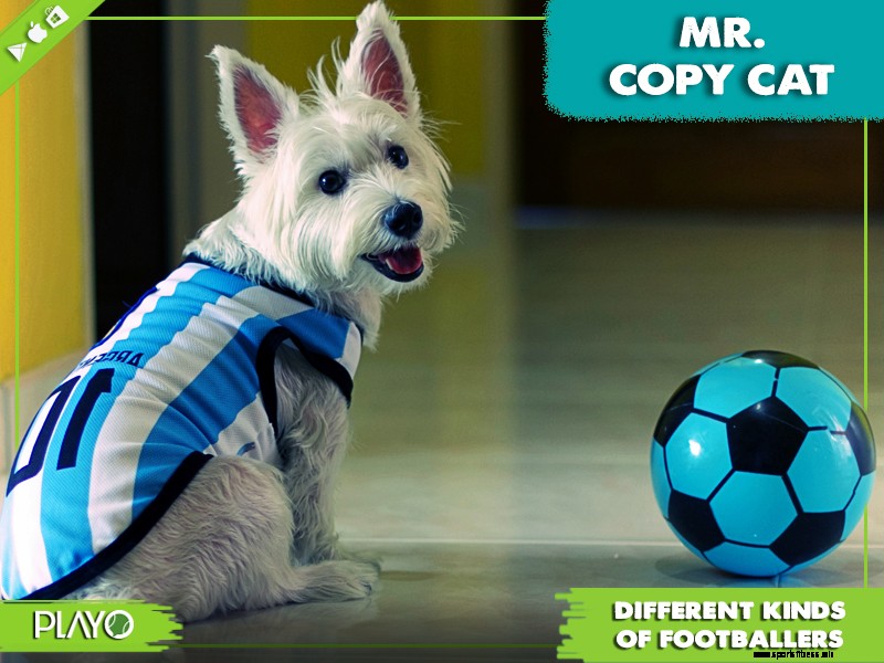 16 funny types of footballers- which one are you? | Playo