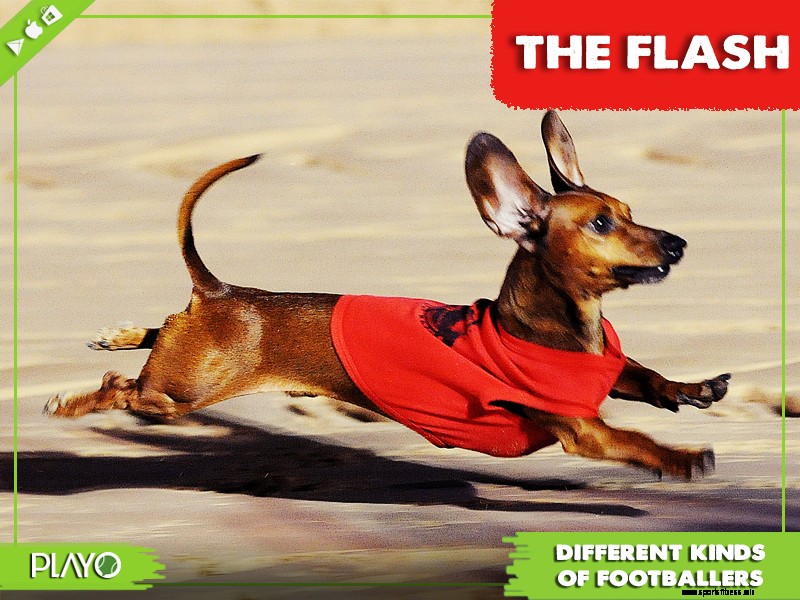 16 funny types of footballers- which one are you? | Playo