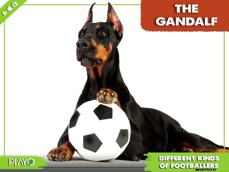 16 funny types of footballers- which one are you? | Playo