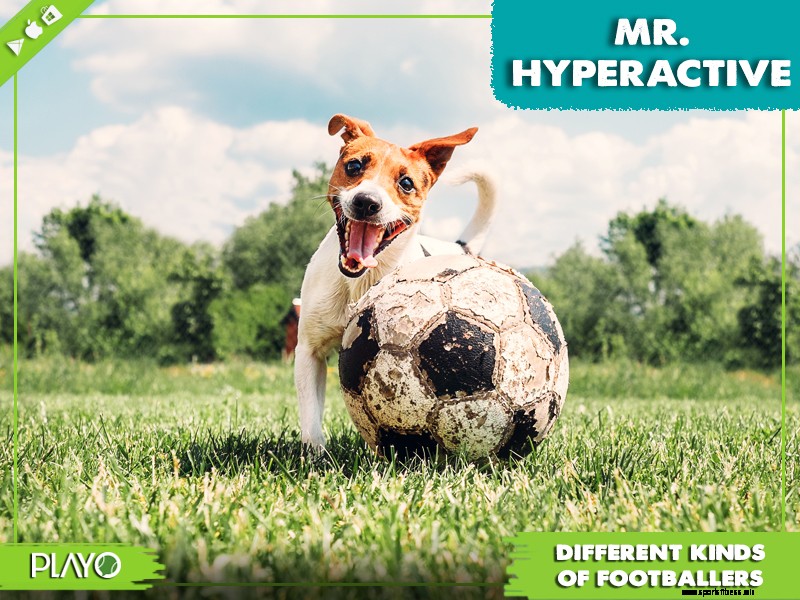 16 funny types of footballers- which one are you? | Playo