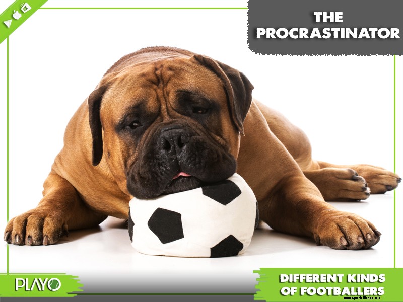 16 funny types of footballers- which one are you? | Playo