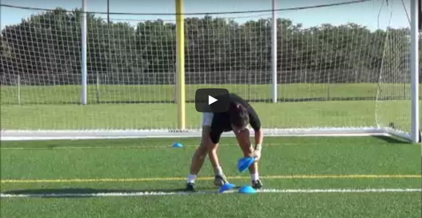 On Field Agility Training