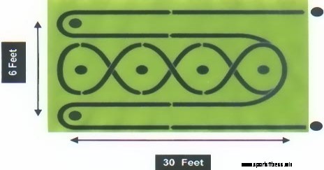 Illinois Agility Test