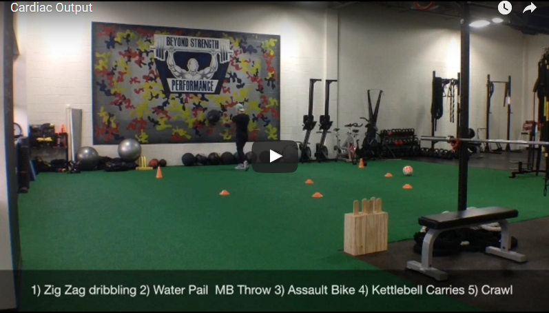 Cardiac Output: The Case of an Under Recovered Soccer Player