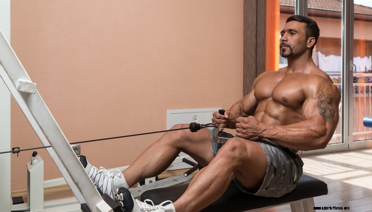 The Best Back Exercises at the Gym