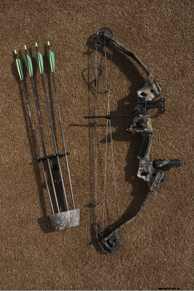 Four Types of Archery Bows