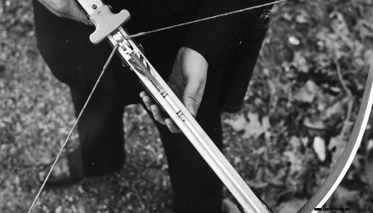 Four Types of Archery Bows