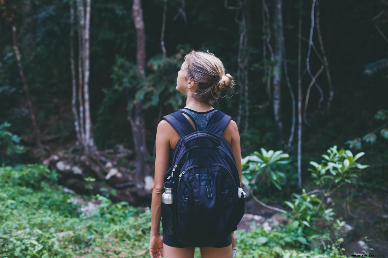 Walking for the love of it