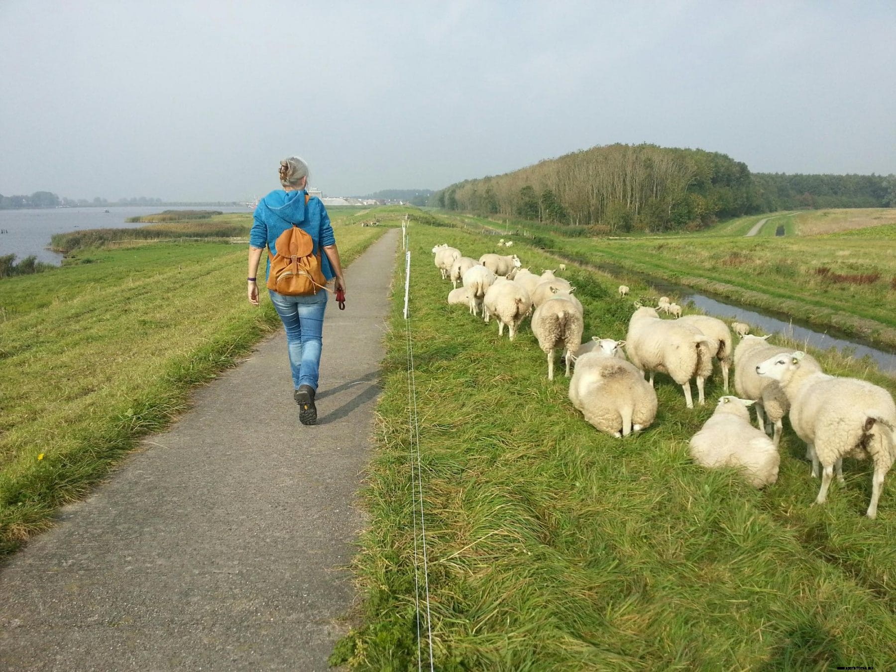 Why walking is the best way forward and 5 tips to enjoy it even more