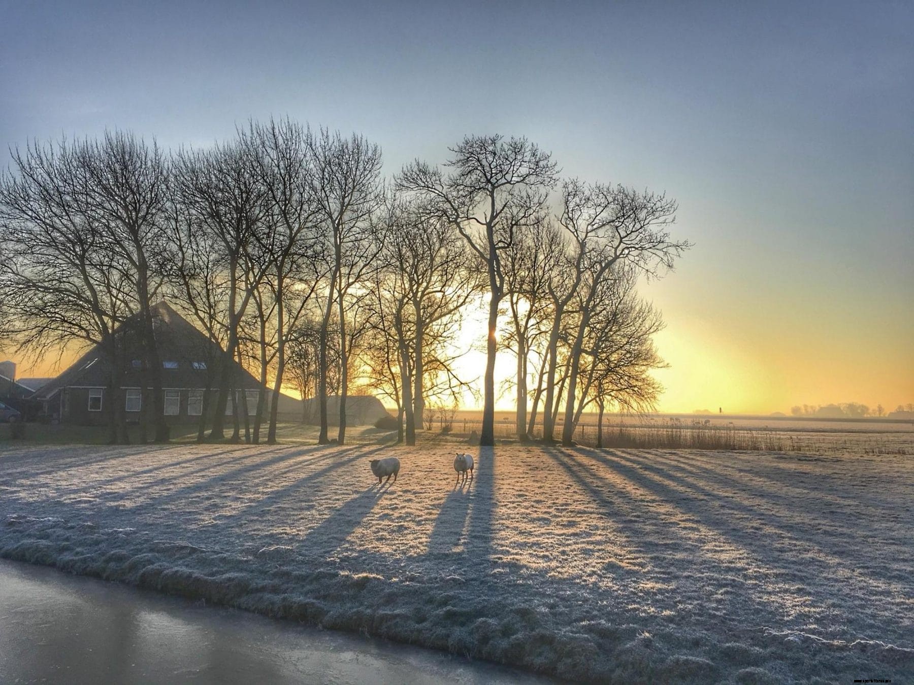 Why walking is the best way forward and 5 tips to enjoy it even more