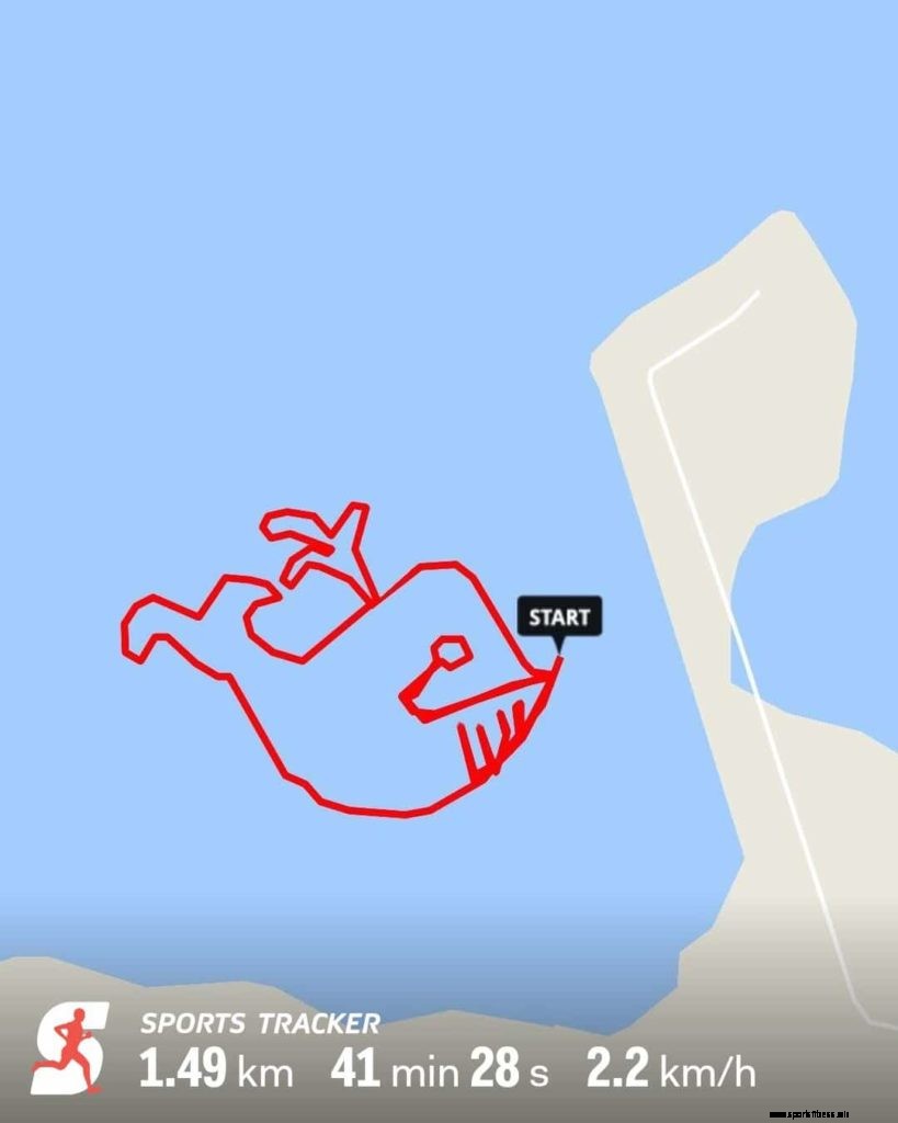 How one artistic Sports Tracker duo is creating enormous “walks of art”