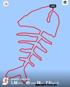 How one artistic Sports Tracker duo is creating enormous “walks of art”