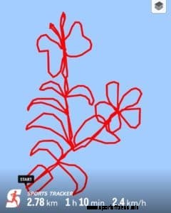 How one artistic Sports Tracker duo is creating enormous “walks of art”