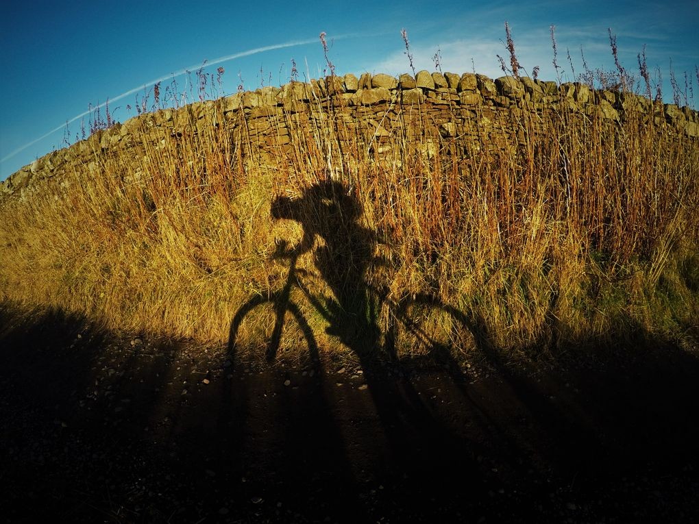 23 Tiny Thrills That Can Brighten Any Mountain Biker’s Day