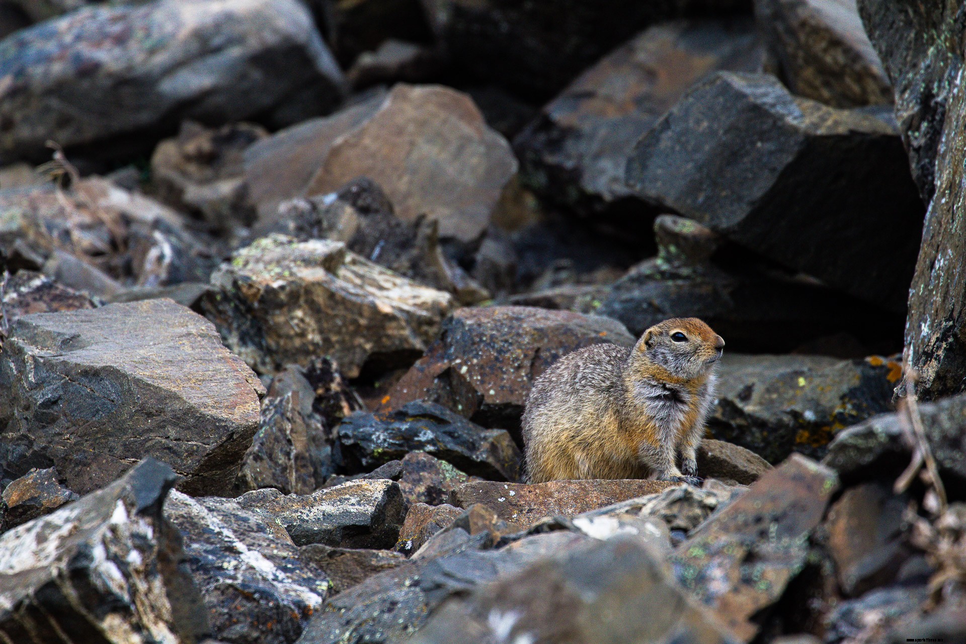 Yukon | Hiking On The Frontline Of Climate Change