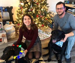 Goat Yoga. Yes, With Actual Goats.