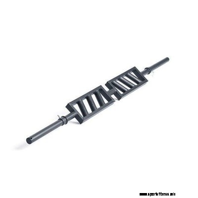 Cardio or Strength First?