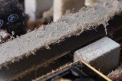 Do you REALLY need to clean Home Fitness Equipment?