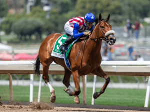 With Santa Anita Racing Again, Track Offers Weekend Stakes