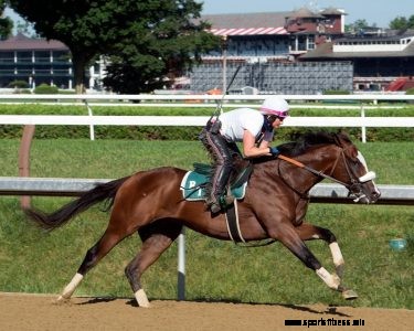 Odds for Top 10 Kentucky Derby Favorites