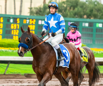 Odds for Top 10 Kentucky Derby Favorites