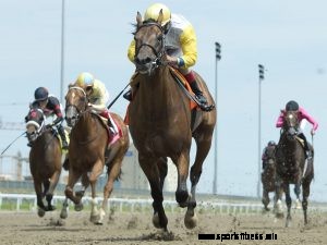 The ‘Mad Genius’ Returns to Woodbine for E.P. Taylor Stakes
