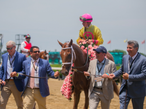 Brad Cox Enters Elite Trainer Territory With Sensational 2020